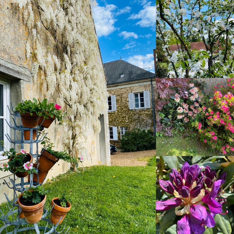 Les Couleurs Du Verger Beaumont-les-Autels 외부 사진