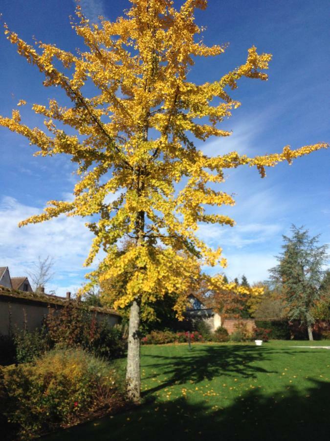 Les Couleurs Du Verger Beaumont-les-Autels 외부 사진
